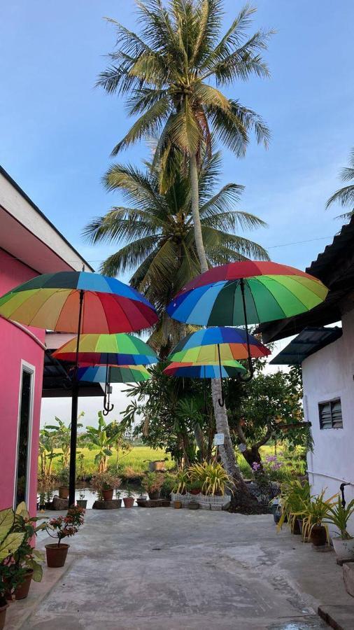 Pink Homestay D'Perlis 加央 外观 照片