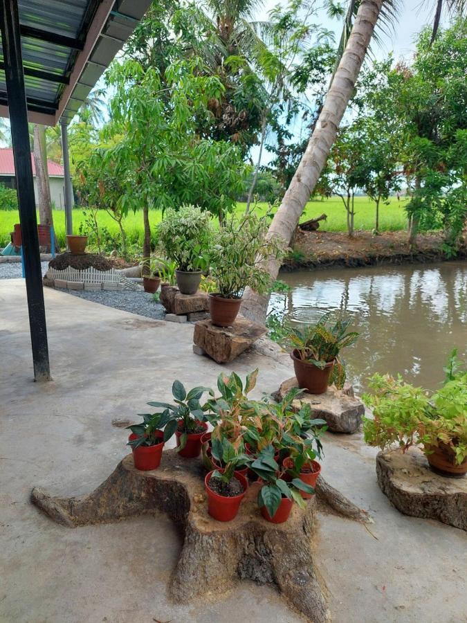Pink Homestay D'Perlis 加央 外观 照片