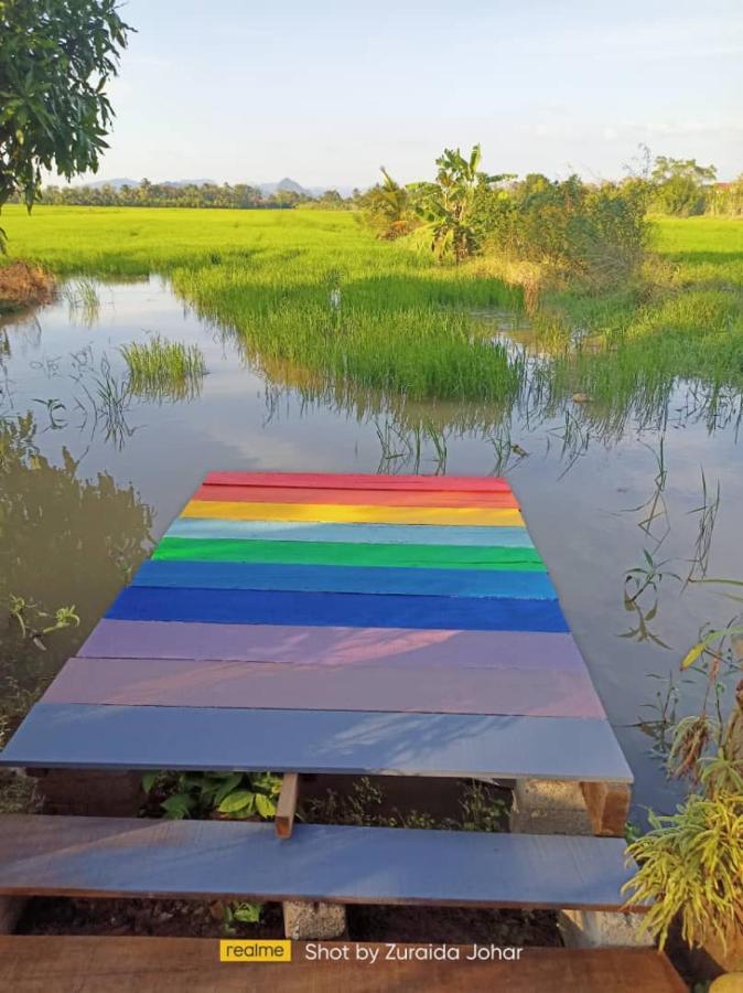 Pink Homestay D'Perlis 加央 外观 照片