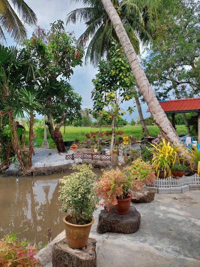 Pink Homestay D'Perlis 加央 外观 照片