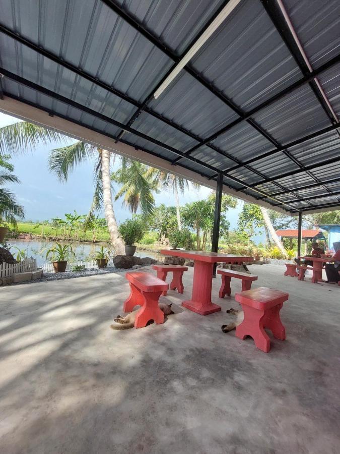 Pink Homestay D'Perlis 加央 外观 照片